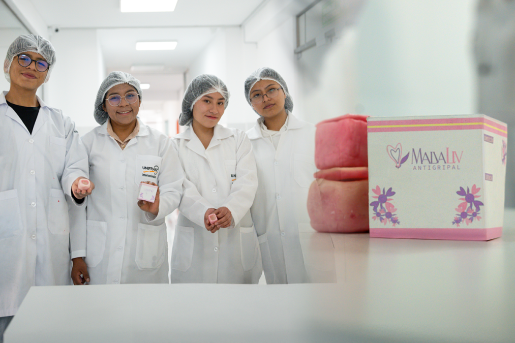 Estudiantes transforman el matico en un remedio natural contra los resfríos