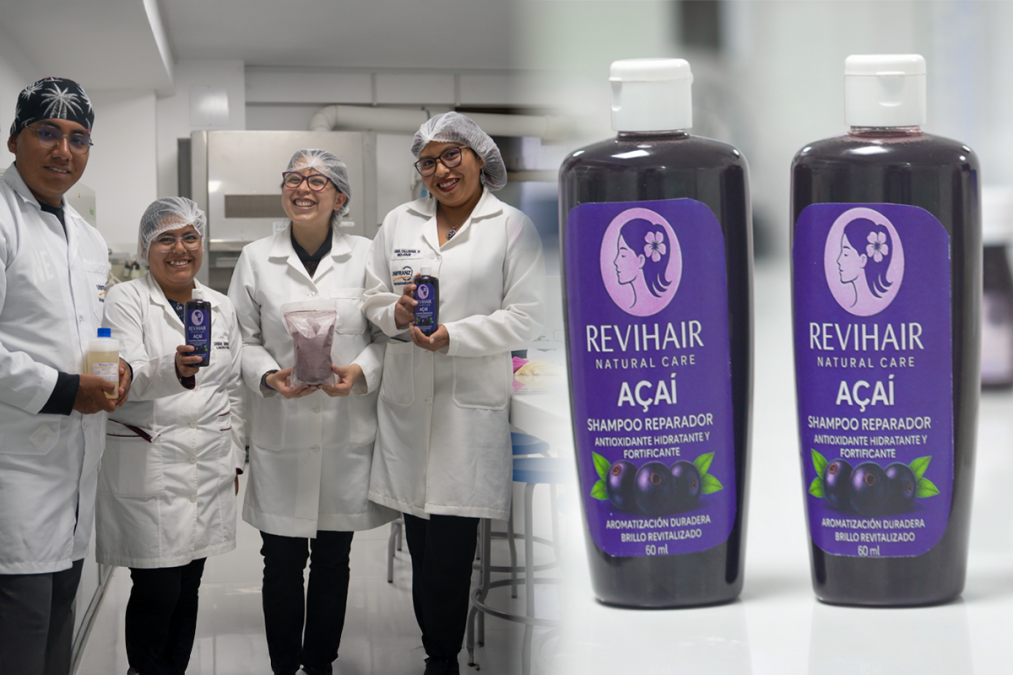 Desde la Amazonía a la cosmética: universitarios desarrollan shampoo artesanal de asaí