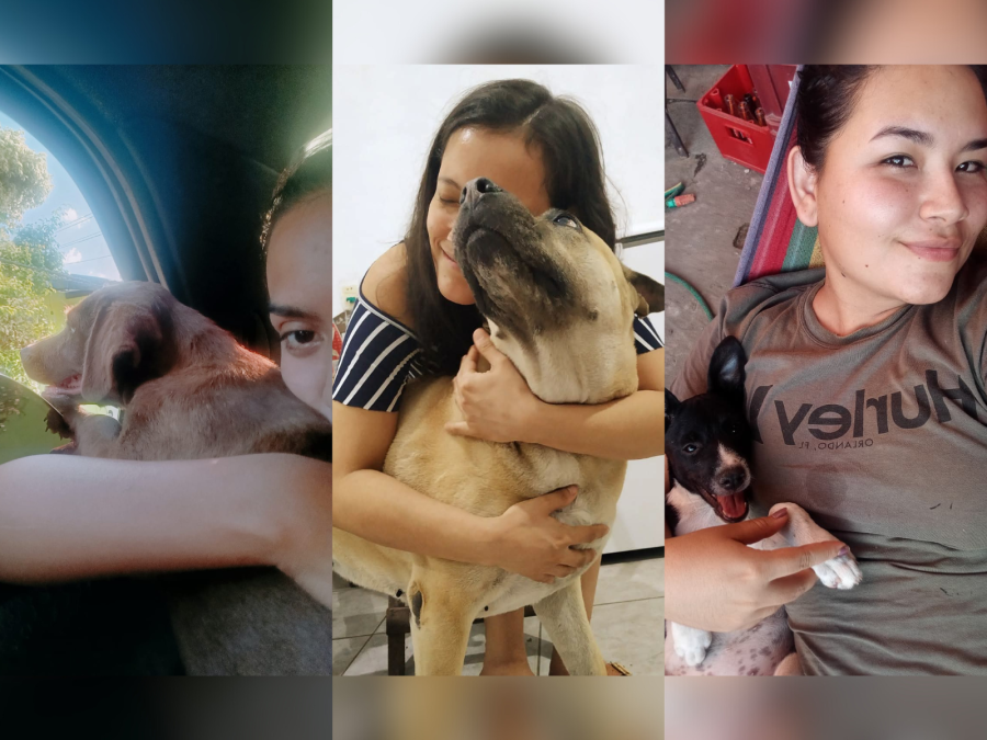 Salvemos Ángeles: tres voluntarias han cambiado la vida de más de 200 perros y gatos con sus propios recursos